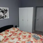 Vidulic