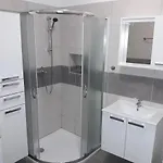 Vidulic